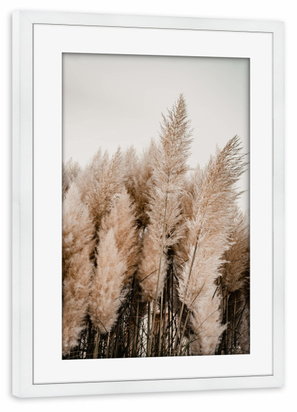 Poster mit Rahmen weiß "Pampas gras - boho" artboxONE - Natur,Floral - Pampas,Gras,Strandgras,Strand,Urlaub,Reise,Boho,Bohemian,Floral,Natur,Pflanzen