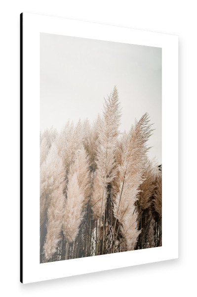 Alu-Dibond "Strandgrass" 30x20 cm artboxONE