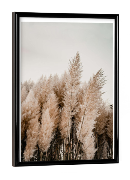 Poster mit schwarzem Rahmen "Strandgrass" artboxONE - Natur,Floral - Pampas,Grass,Strandgras,Natur,Pflanzen,Reise,Strand,Meer,Boho,Bohemian