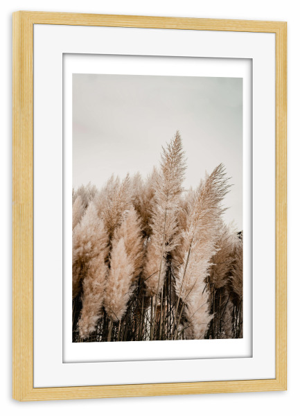 Poster mit Rahmen kiefer "Strandgrass" artboxONE - Natur,Floral - Pampas,Grass,Strandgras,Natur,Pflanzen,Reise,Strand,Meer,Boho,Bohemian