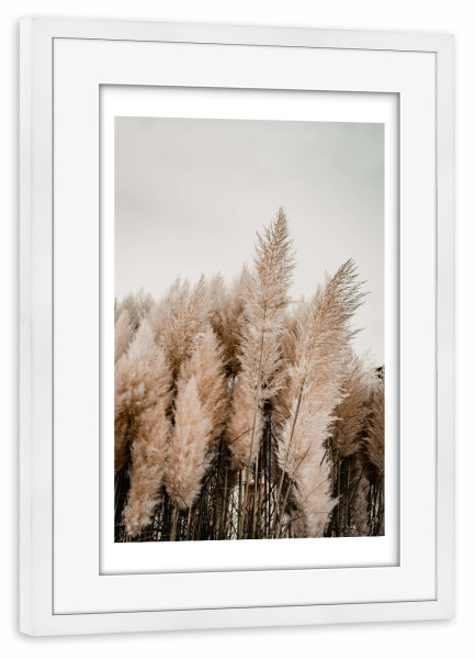 Poster mit Rahmen weiß "Strandgrass" artboxONE - Natur,Floral - Pampas,Grass,Strandgras,Natur,Pflanzen,Reise,Strand,Meer,Boho,Bohemian