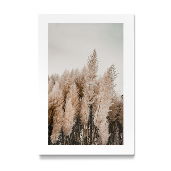 Galerie-Print "Strandgrass" 75x50 cm artboxONE