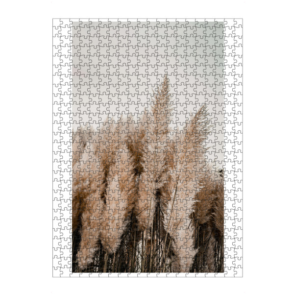 Puzzle Ravensburger "Strandgrass" artboxONE - Natur,Floral - Pampas,Grass,Strandgras,Natur,Pflanzen,Reise,Strand,Meer,Boho,Bohemian - Bild pampas