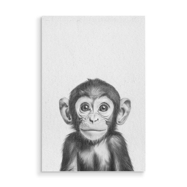 Holzbild "Baby Affenblick" artboxONE - Natur,Tiere,Lustig