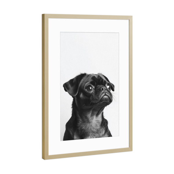 Poster mit Rahmen Gold "Balu Niedlicher Babymops" artboxONE - Natur,Tiere,Lustig