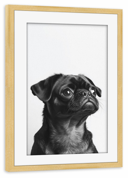 Poster mit Rahmen kiefer "Balu Niedlicher Babymops" artboxONE - Natur,Tiere,Lustig
