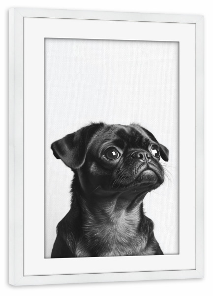 Poster mit Rahmen weiß "Balu Niedlicher Babymops" artboxONE - Natur,Tiere,Lustig