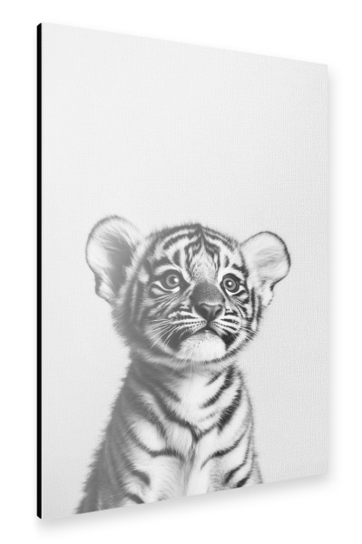 Alu-Dibond "Sam Niedlicher Babytiger" 30x20 cm artboxONE