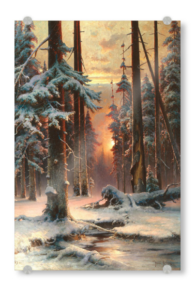 Acrylglasbild "Sonnenuntergang im Tannenwald" artboxONE - Natur,Reise