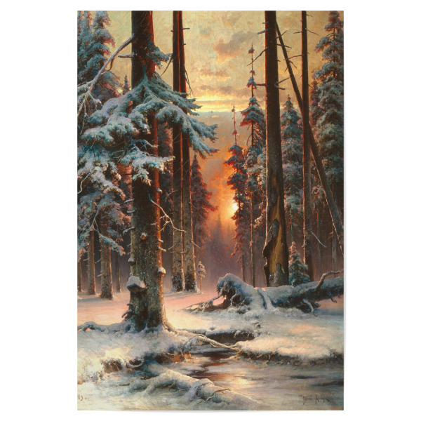 Poster "Sonnenuntergang im Tannenwald" artboxONE - Natur,Reise