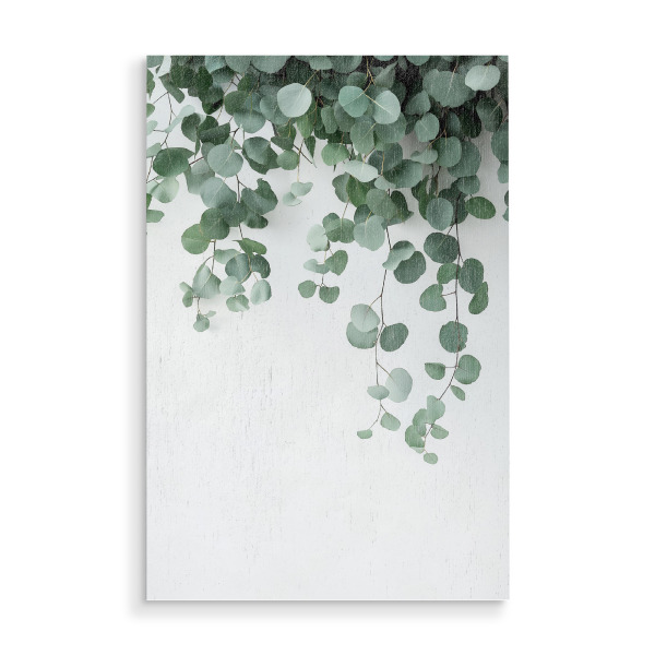 Holzbild "Eucalyptus Pflanze" artboxONE - Natur,Floral - Ki,Ai,Floral,Pflanzen,Natur,Eucalyptus