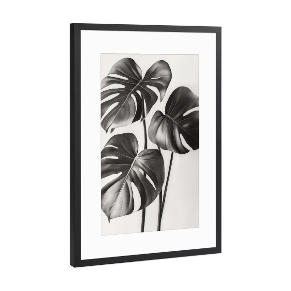 Poster mit Rahmen Schwarz (Metallic) "Monstera schwarzweiß" artboxONE - Natur,Floral,Schwarzweiß