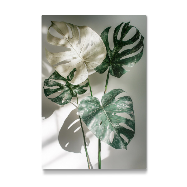 Galerie-Print "Monstera - Blätter" 30x20 cm artboxONE