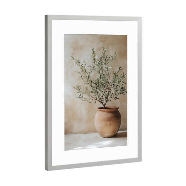 Poster mit Rahmen Silber "Olivenbaum im Topf" artboxONE - Natur,Floral,Architektur