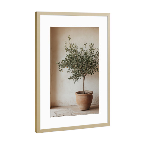 Poster mit Rahmen Gold "Kleiner Olivenbaum im Topf" artboxONE - Natur,Floral,Architektur