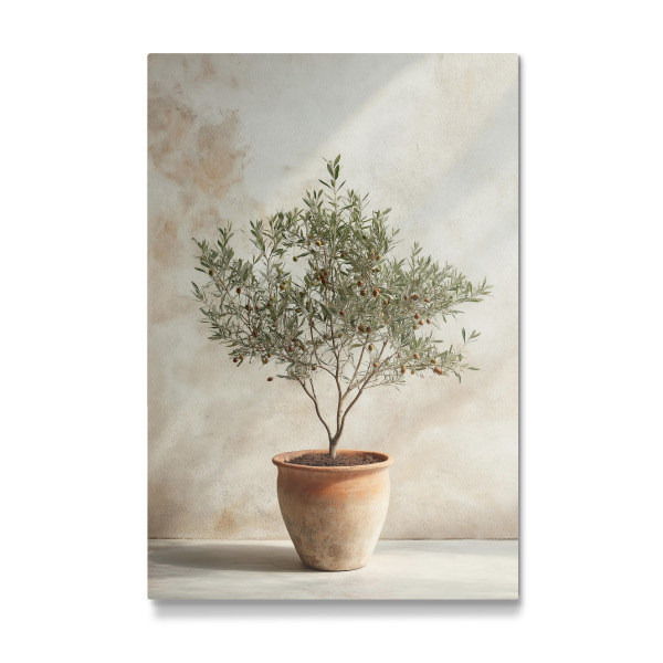 Galerie-Print "Olivenbaum im Topf - Boho" 30x20 cm artboxONE