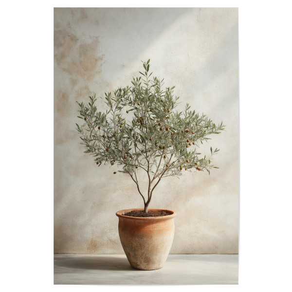 Poster 30x20 cm "Olivenbaum im Topf - Boho" artboxONE - Natur,Floral,Architektur - Oliven,Olivenbaum,Boho,Bohemian,Topf,Floral,Natur,Ki,Ai