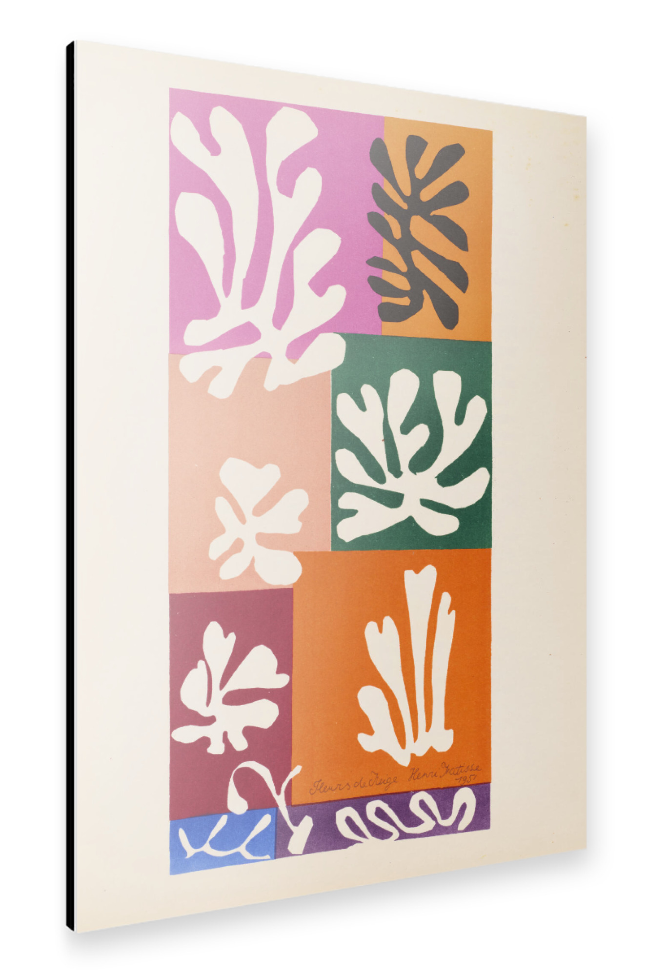 Alu-Dibond "Schneeblume" 30x20 cm artboxONE