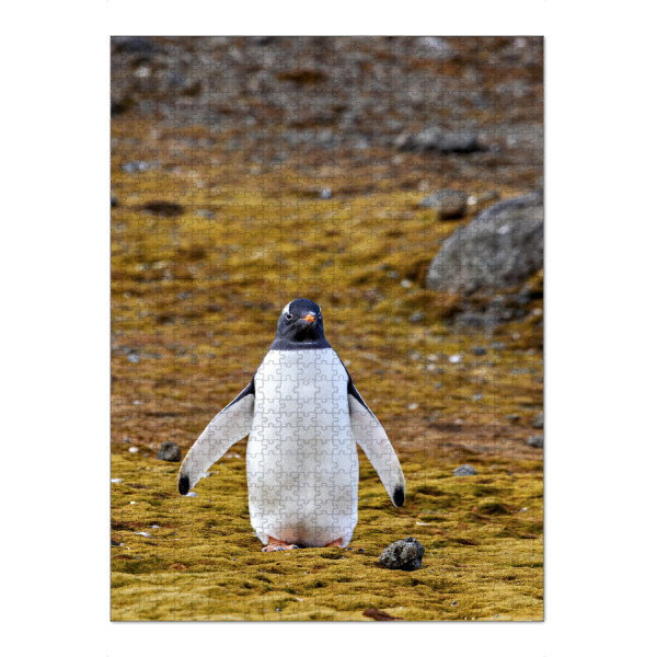 Puzzle Ravensburger "Eselspinguin an Land" artboxONE - Natur,Tiere - Pinguin,Antarktis,Pinguine,Eisberg,Antarktische halbinsel,Vogel,Eselspinguin