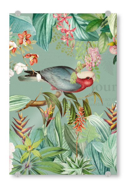 Acrylglasbild "Vintager tropischer Vogeldschungel" artboxONE - Natur,Floral,Tiere,Reise / Länder