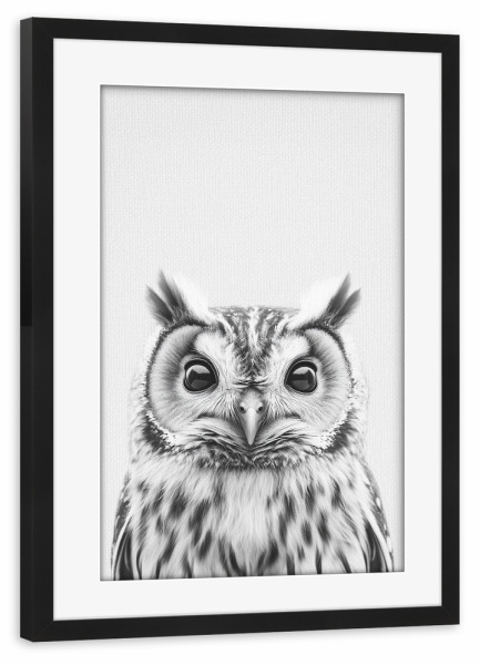 Poster mit Rahmen schwarz "Emil Niedliche Eule" artboxONE - Für Kinder,Tiere,Schwarzweiß,Lustig