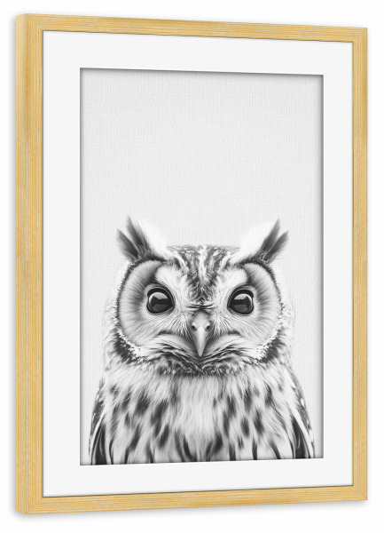 Poster mit Rahmen kiefer "Emil Niedliche Eule" artboxONE - Für Kinder,Tiere,Schwarzweiß,Lustig