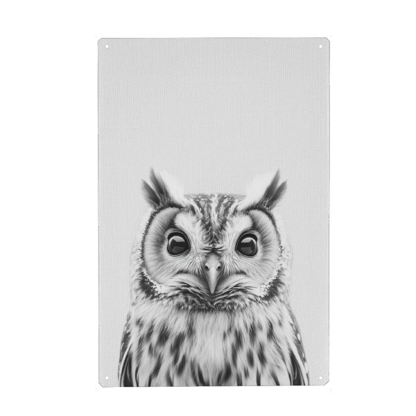 Holzbild "Emil Niedliche Eule" artboxONE - Für Kinder,Tiere,Schwarzweiß,Lustig
