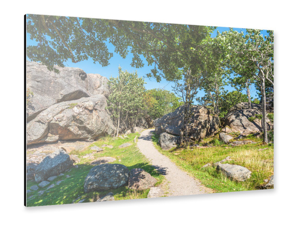 Alu-Dibond "Wanderweg auf der Insel Monsøya" 30x20 cm artboxONE