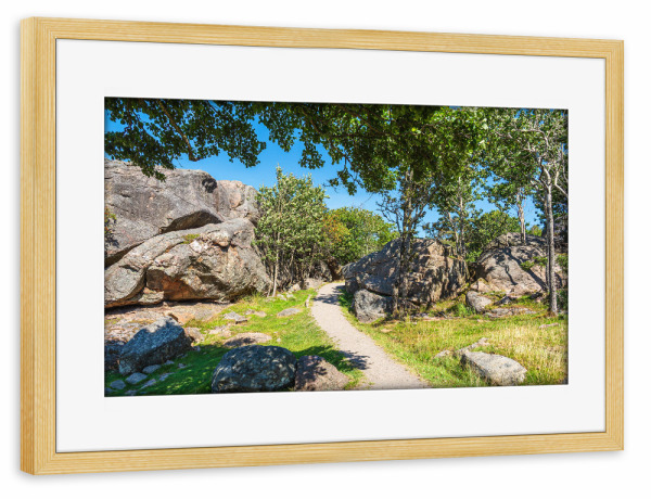 Poster mit Rahmen kiefer "Wanderweg auf der Insel Monsøya" artboxONE - Natur,Reise,Reise / Länder