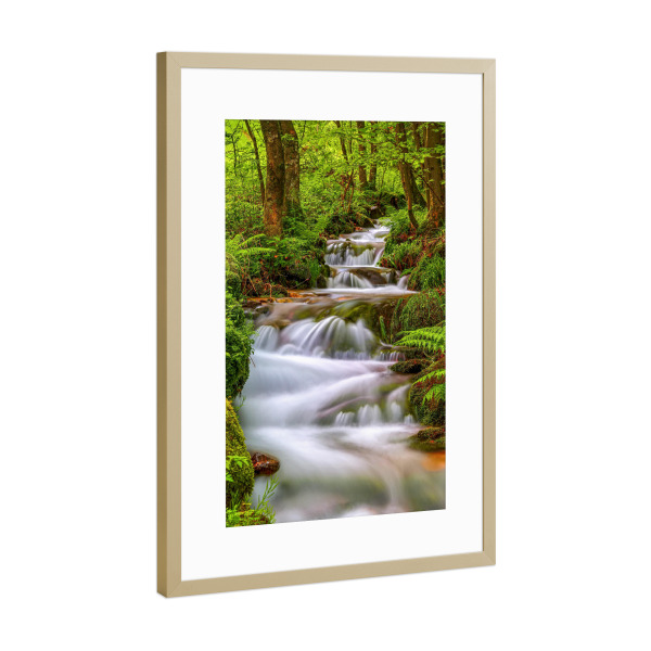 Poster mit Rahmen Gold "Kaskaden" artboxONE - Natur - Bach,Wildbach,Kaskaden,Felsen,Moos,Wald,Schwarzwald,Wasser