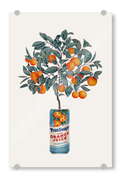 Acrylglasbild "Zitrusblüte" artboxONE - Essen & Trinken