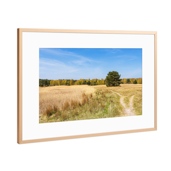 Poster mit Rahmen Kupfer "Landschaft auf dem Gellen" artboxONE - Natur,Reise
