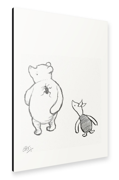 Alu-Dibond "Brummelbär und der Käfer" 30x20 cm artboxONE