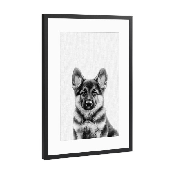 Poster mit Rahmen Schwarz (Metallic) "Felix Schäferhund Welpe B&W" artboxONE - Für Kinder,Tiere,Lustig