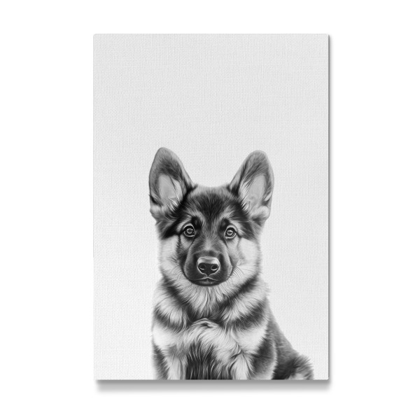 Galerie-Print "Felix Schäferhund Welpe B&W" 75x50 cm artboxONE