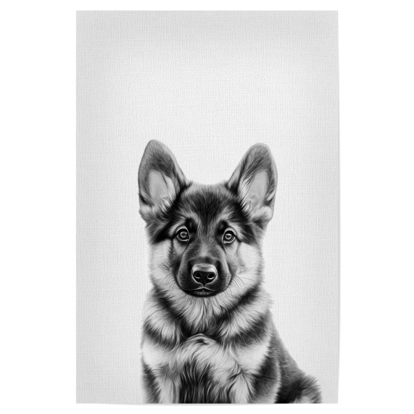 Poster "Felix Schäferhund Welpe B&W" artboxONE - Für Kinder,Tiere,Lustig