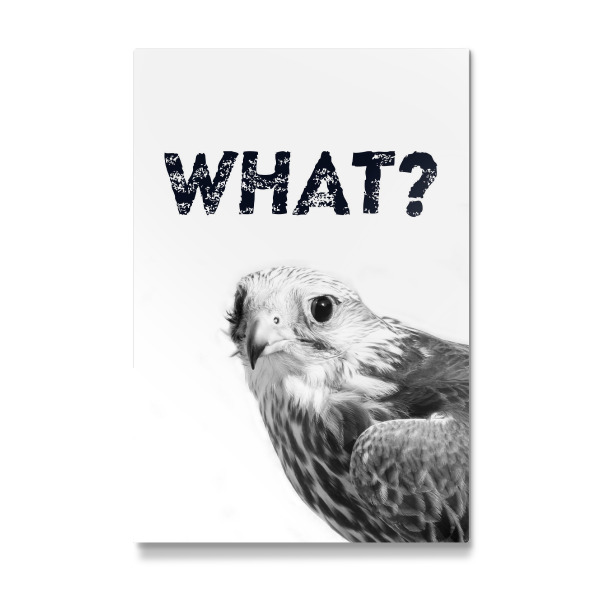 Galerie-Print "What - Funny" 30x20 cm artboxONE