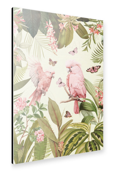 Alu-Dibond "Nostalgischer rosa Papageientanz" 75x50 cm artboxONE