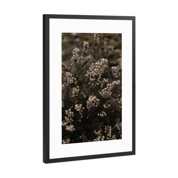 Poster mit Rahmen Schwarz (Metallic) "Knospen im Wind" artboxONE - Natur,Floral - Blume,Weiß,Grün,Knospe,Detailaufnahme,Detail,Floral,Pflanze,Strauch