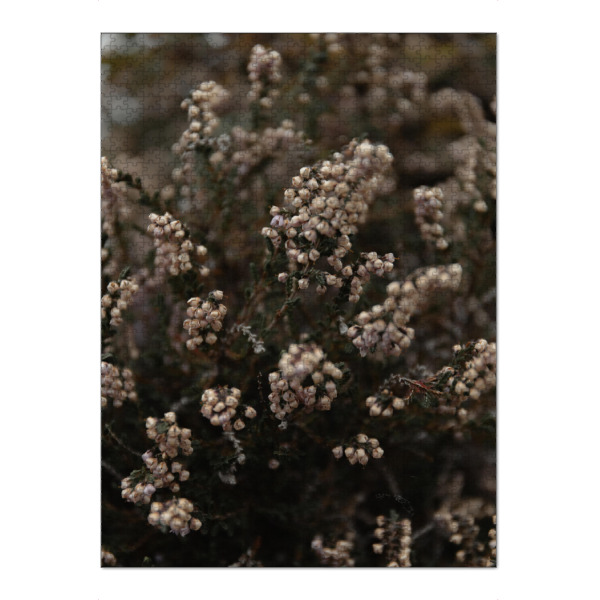 Puzzle Ravensburger "Knospen im Wind" artboxONE - Natur,Floral - Blume,Weiß,Grün,Knospe,Detailaufnahme,Detail,Floral,Pflanze,Strauch - Bild blume