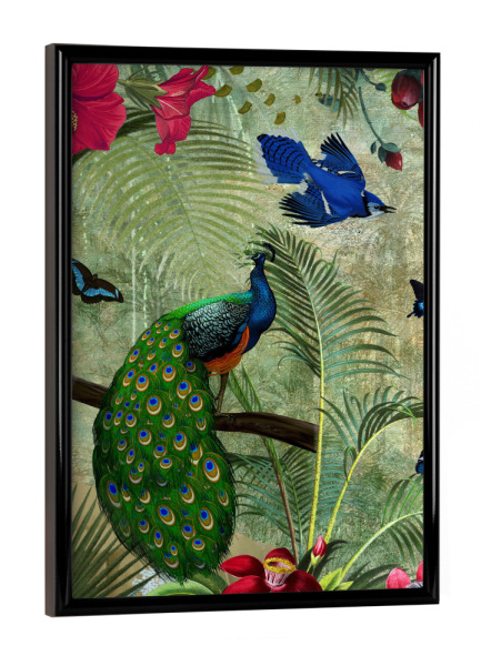 Poster mit schwarzem Rahmen "Pfau im exotischen Dschungel" artboxONE - Natur,Reise,Floral,Tiere