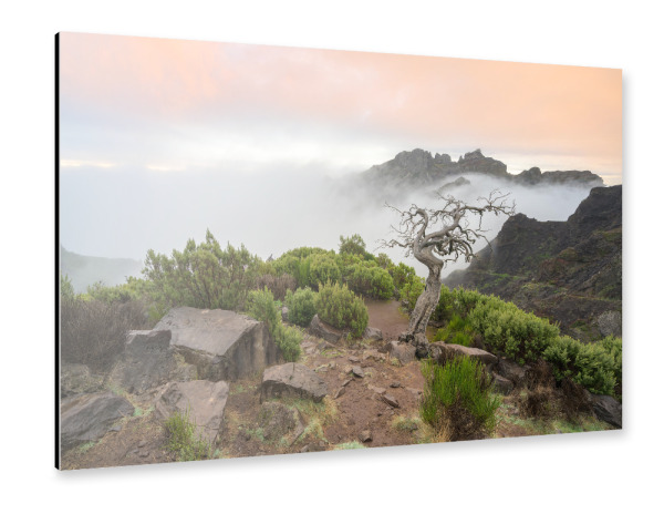 Alu-Dibond "Natur pur auf Madeira" 30x20 cm artboxONE