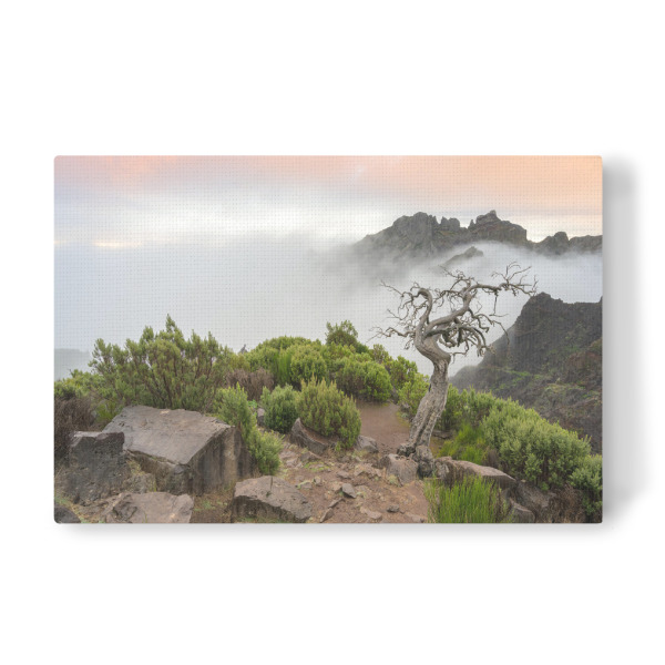 Leinwandbild "Natur pur auf Madeira" artboxONE - Natur,Reise,Reise / Länder