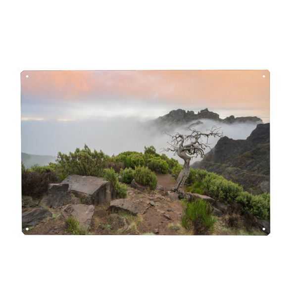 Holzbild "Natur pur auf Madeira" artboxONE - Natur,Reise,Reise / Länder