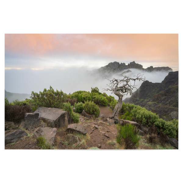 Poster 30x20 cm "Natur pur auf Madeira" artboxONE - Natur,Reise,Reise / Länder