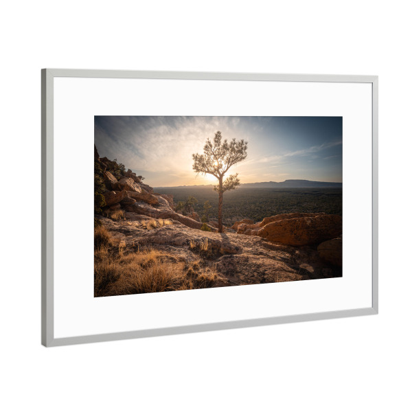Poster mit Rahmen Silber "New Mexico Tree" artboxONE - Natur,Reise,Reise / Länder