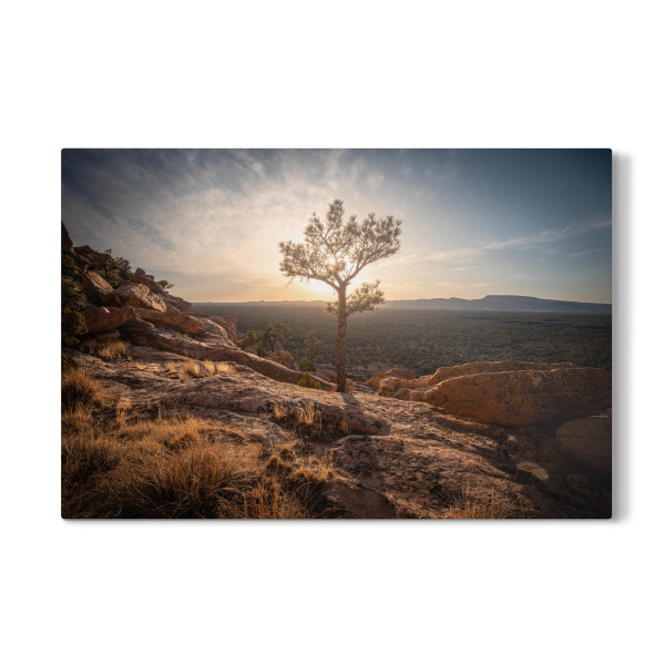 Galerie-Print "New Mexico Tree" 75x50 cm artboxONE