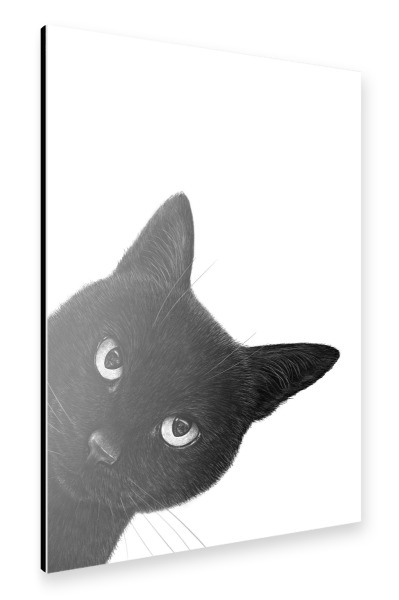 Alu-Dibond "Schwarzkatze empört" 75x50 cm artboxONE
