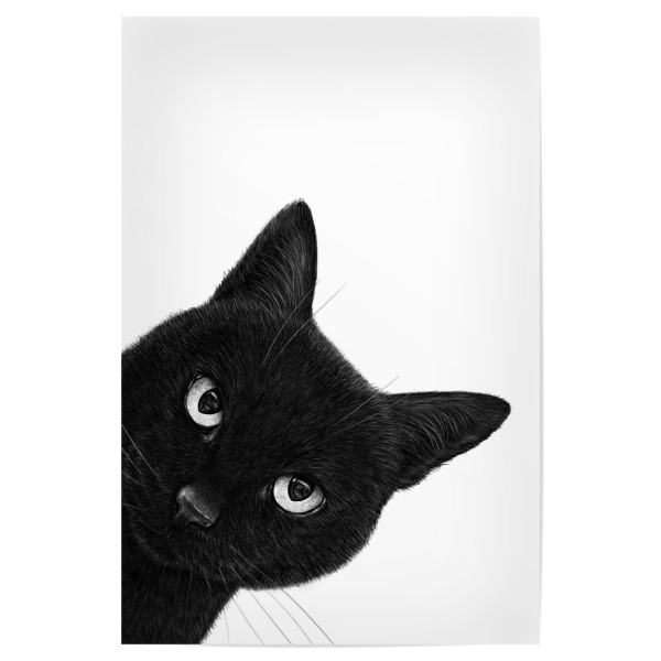 Poster "Schwarzkatze empört" artboxONE - Für Kinder,Tiere,Für Mama,Halloween,Lustig