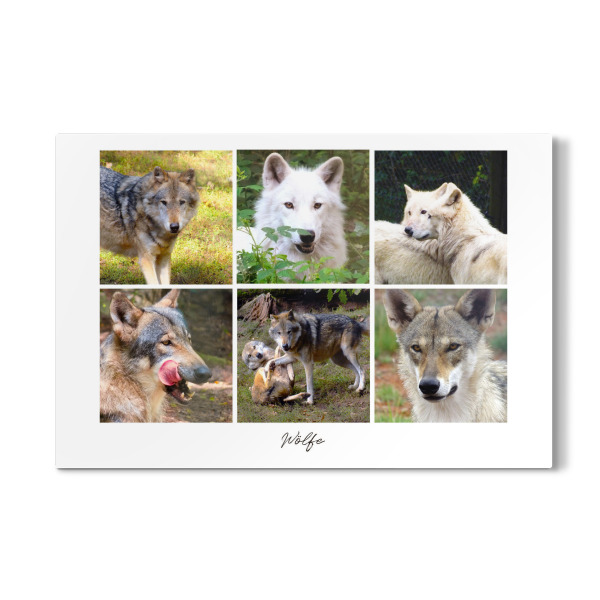 Galerie-Print "Wölfe" 30x20 cm artboxONE